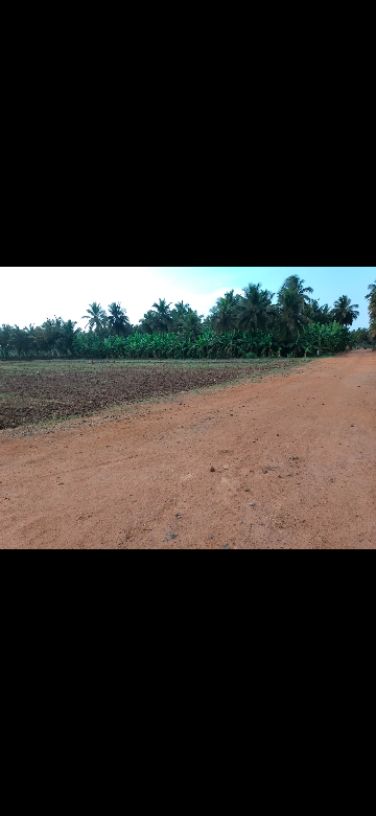 9676-for-sale-2BHK-Commercial-Plot-Rs-850000-in-Ariyankuppam-Abishegapakkam-Puducherry