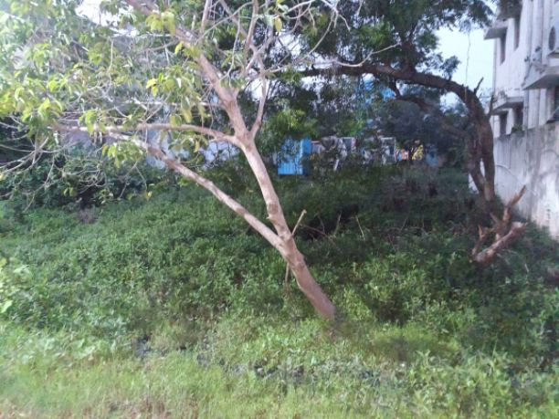 9945-for-sale-Select BedroomsBHK-Residential-Land-Rs-6300000-in-Moolakulam-Moolakulam-Puducherry